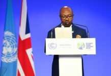 COP 26 : Comment le Gabon est parvenu à produire plus de bois tout préservant sa forêt et en réduisant de moitié ses émissions de CO2 (Reuters)