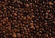 Le Gabon veut redevenir un important producteur de café en Afrique