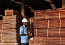 L’arrivée d’African Equatorial Hardwoods confirme les ambitions du Gabon en matière de gestion durable du bois