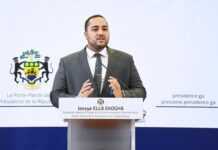 Supposée annonce de candidature d’Ali Bongo Ondimba à la présidentielle au Gabon : « Pour ceux qui l’auraient oublié, il n’y aura pas une mais trois élections en 2023 » (Jessye Ella Ekogha)