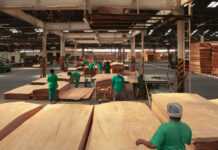 Gabon : La production de bois débités bondit de 34,5 % en 2021