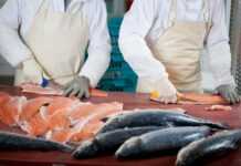 Nouvelle usine de transformation du poisson au Gabon : 3000 emplois directs et 9000 emplois indirects à la clé