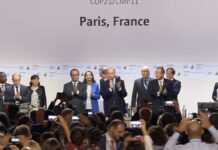 Fake news : Non, le Gabon n’a jamais fait appel aux services de l’agence d’intelligence économique française Avisa Partners