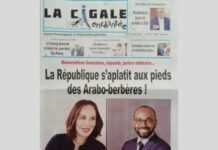 Gabon : Un journal d’opposition suspendu pour racisme, xénophobie et incitation à la haine
