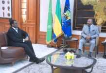 Ali Bongo Ondimba souhaite que l’action de la BAD au Gabon soit « plus lisible et plus visible »