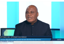 Gabon : A son tour, Bertrand Zibi lâche Jean Ping