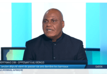Elections 2023 au Gabon : Bertrand Zibi Abeghe saisit la main tendue par Ali Bongo Ondimba à l’opposition