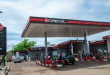Gabon : Bernadin Mve Assoumou, nouveau DG de Gab’Oil