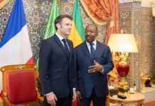 Au One Forest Summit, Emmanuel Macron salue le « leadership » du Gabon en matière de protection de la forêt, du climat et de la biodiversité