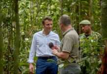One Forest Summit : Lee White fait visiter à Emmanuel Macron la forêt gabonaise, l’une des mieux préserver au monde